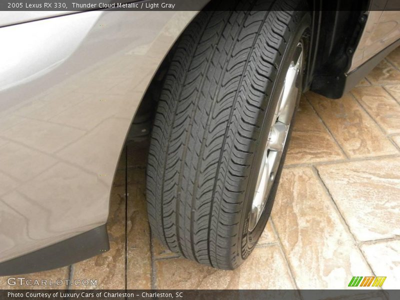 Thunder Cloud Metallic / Light Gray 2005 Lexus RX 330