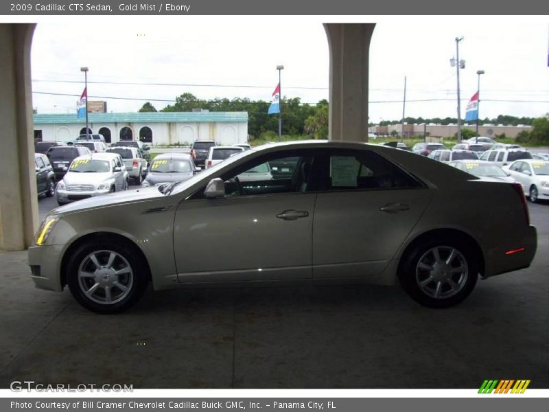 Gold Mist / Ebony 2009 Cadillac CTS Sedan