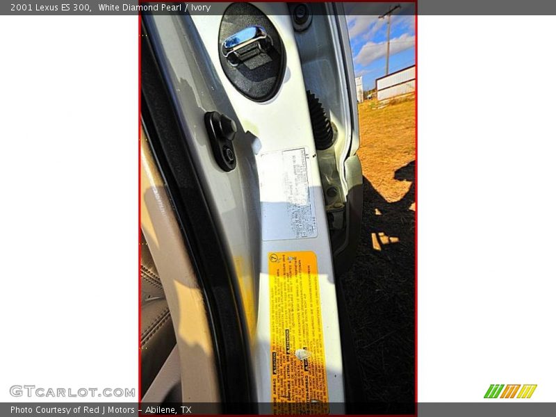 White Diamond Pearl / Ivory 2001 Lexus ES 300