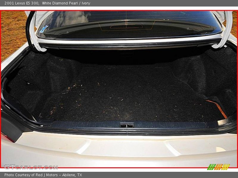 White Diamond Pearl / Ivory 2001 Lexus ES 300