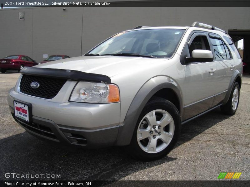 Silver Birch Metallic / Shale Grey 2007 Ford Freestyle SEL