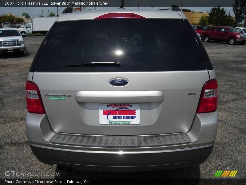 Silver Birch Metallic / Shale Grey 2007 Ford Freestyle SEL