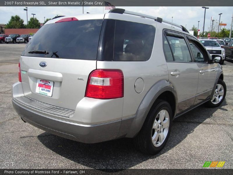 Silver Birch Metallic / Shale Grey 2007 Ford Freestyle SEL