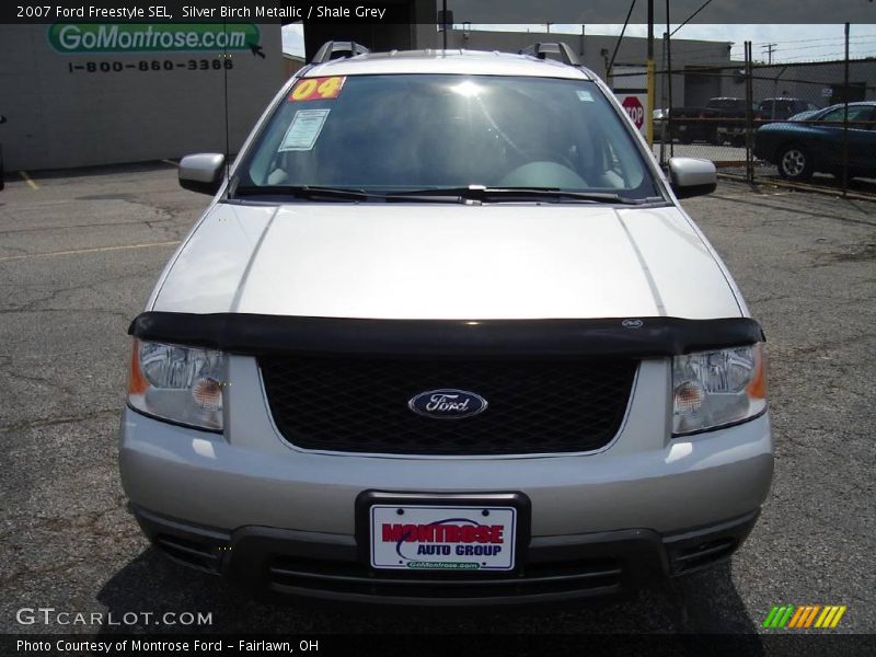 Silver Birch Metallic / Shale Grey 2007 Ford Freestyle SEL