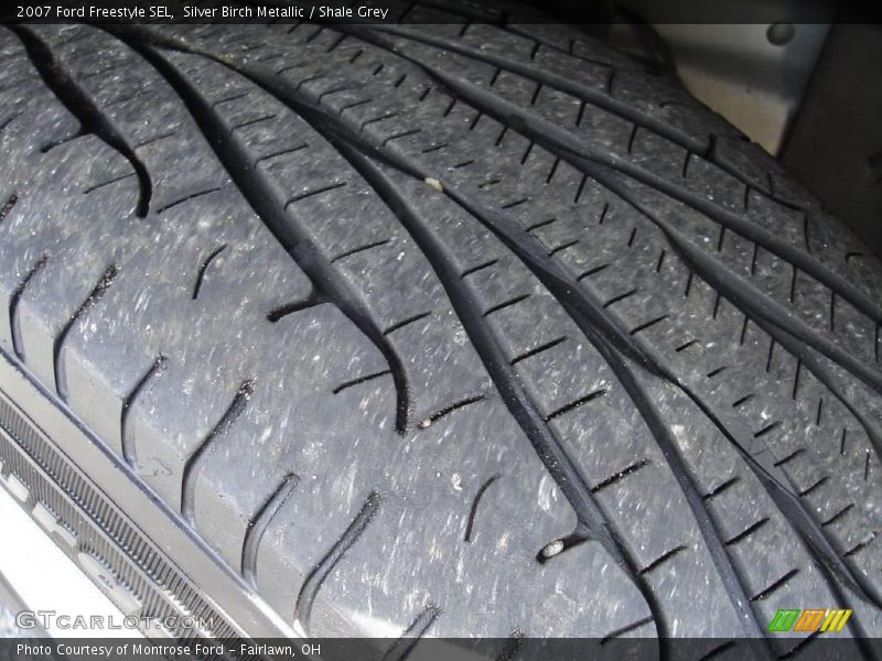 Silver Birch Metallic / Shale Grey 2007 Ford Freestyle SEL