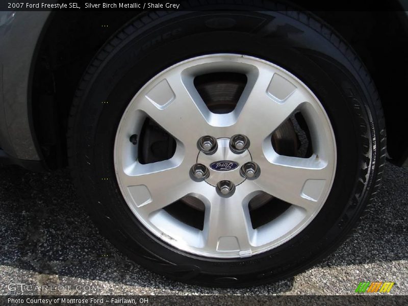 Silver Birch Metallic / Shale Grey 2007 Ford Freestyle SEL
