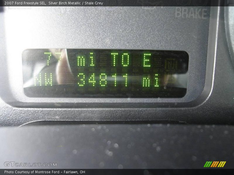 Silver Birch Metallic / Shale Grey 2007 Ford Freestyle SEL