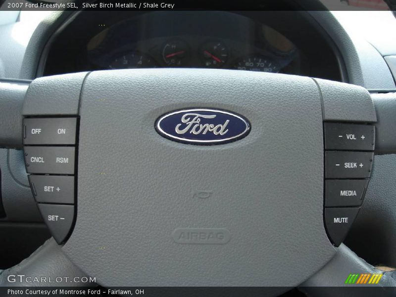 Silver Birch Metallic / Shale Grey 2007 Ford Freestyle SEL