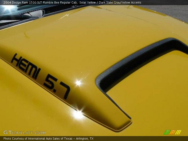 Solar Yellow / Dark Slate Gray/Yellow Accents 2004 Dodge Ram 1500 SLT Rumble Bee Regular Cab