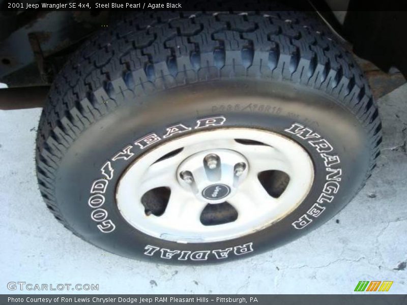 Steel Blue Pearl / Agate Black 2001 Jeep Wrangler SE 4x4