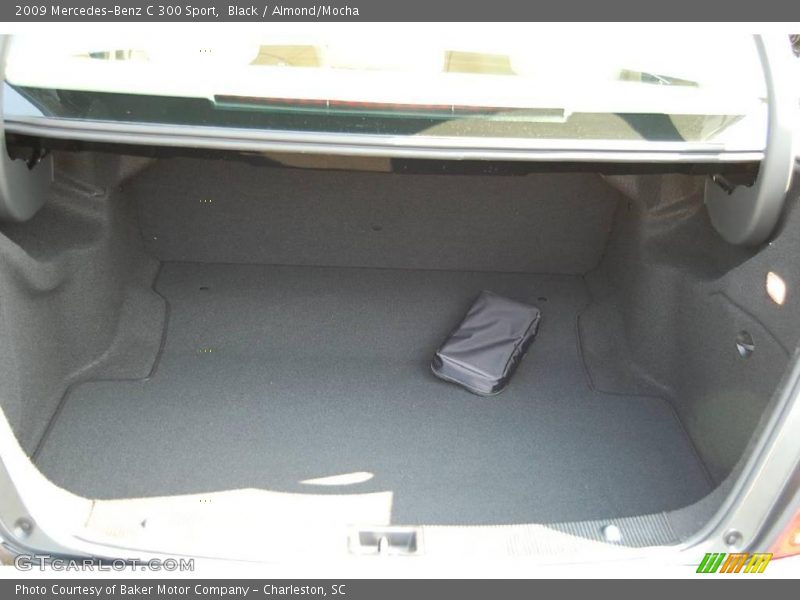 Black / Almond/Mocha 2009 Mercedes-Benz C 300 Sport