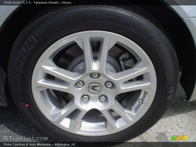 Palladium Metallic / Ebony 2009 Acura TL 3.5