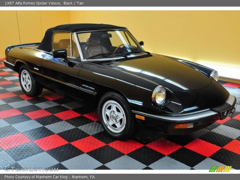 Black / Tan 1987 Alfa Romeo Spider Veloce