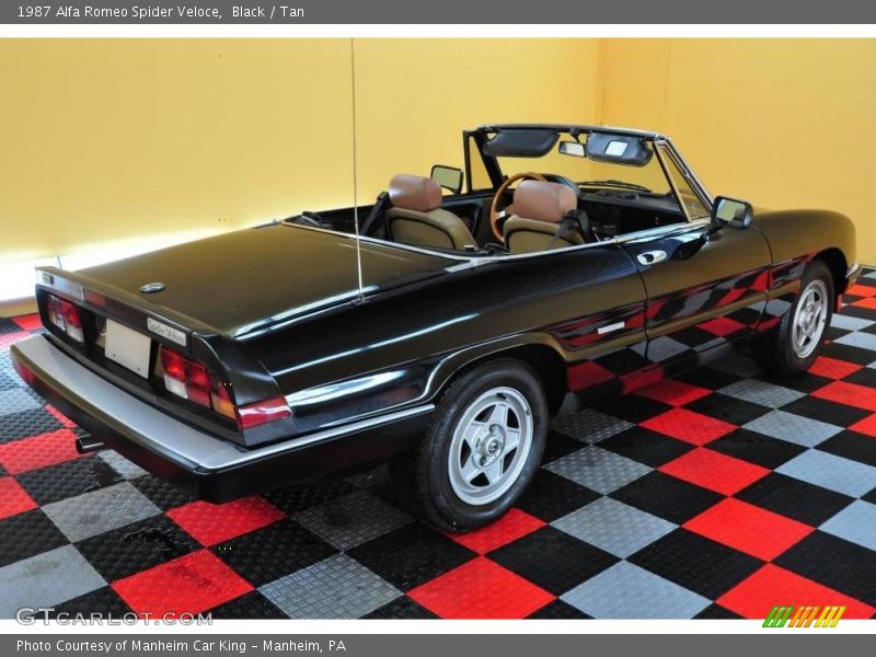 Black / Tan 1987 Alfa Romeo Spider Veloce