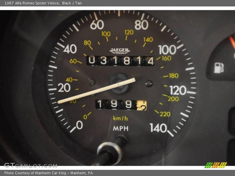 Black / Tan 1987 Alfa Romeo Spider Veloce