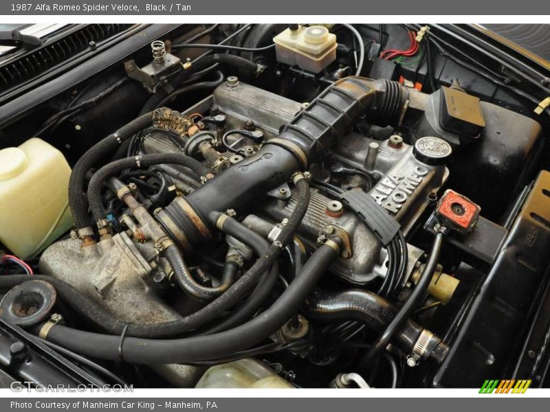  1987 Spider Veloce Engine - 2.0L DOHC Fuel Injected Inline 4 Cylinder