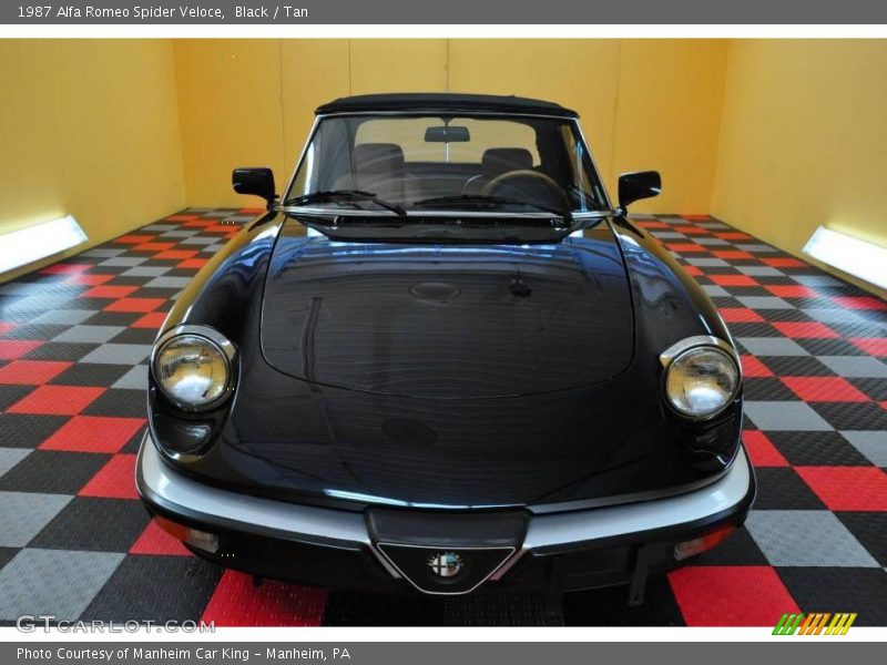 Black / Tan 1987 Alfa Romeo Spider Veloce