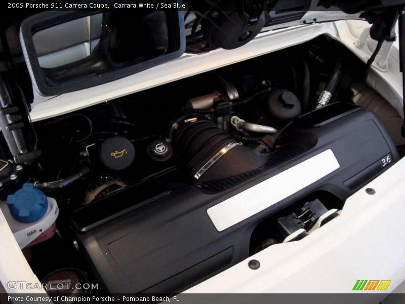 Carrara White / Sea Blue 2009 Porsche 911 Carrera Coupe