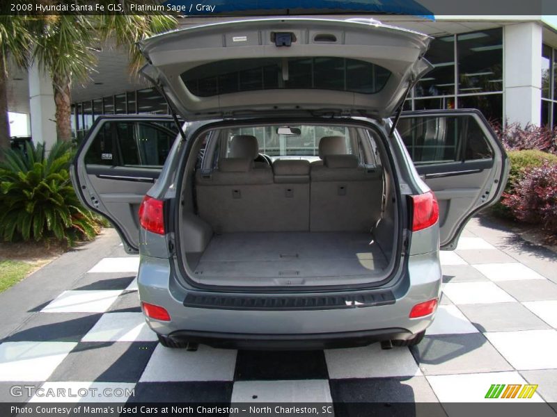 Platinum Sage / Gray 2008 Hyundai Santa Fe GLS