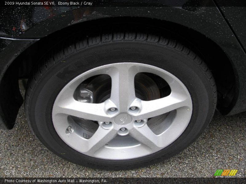 Ebony Black / Gray 2009 Hyundai Sonata SE V6
