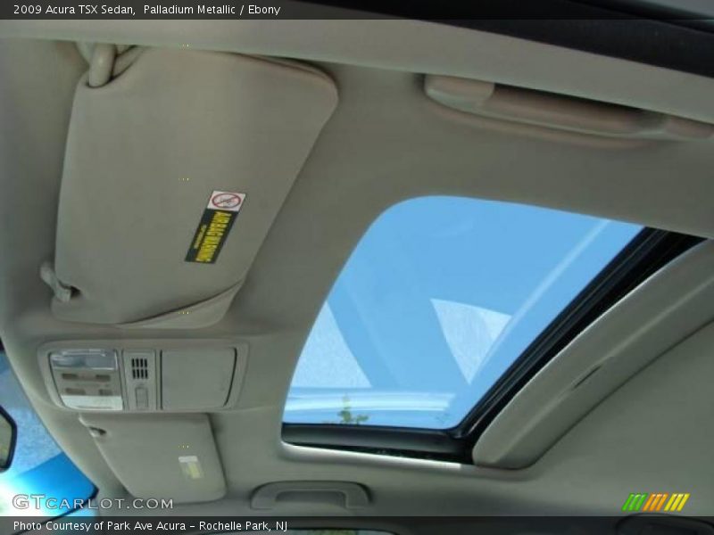Palladium Metallic / Ebony 2009 Acura TSX Sedan