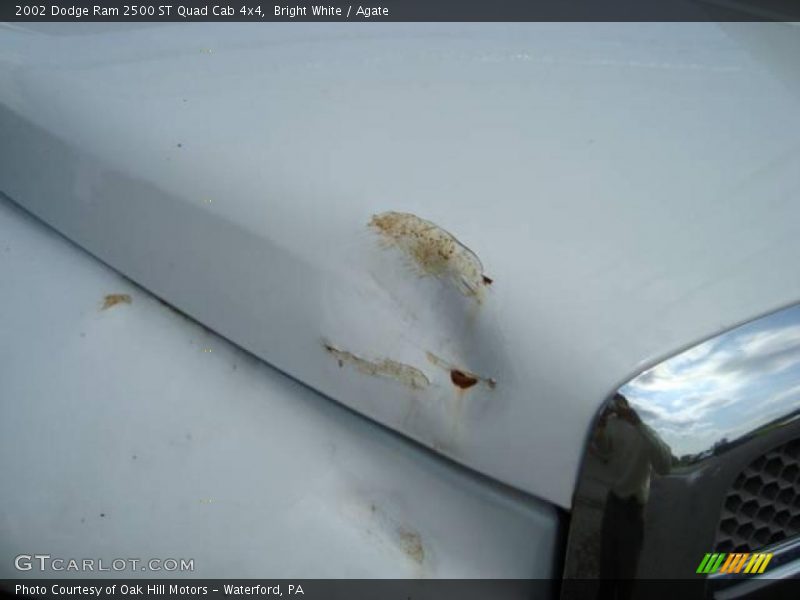 Bright White / Agate 2002 Dodge Ram 2500 ST Quad Cab 4x4