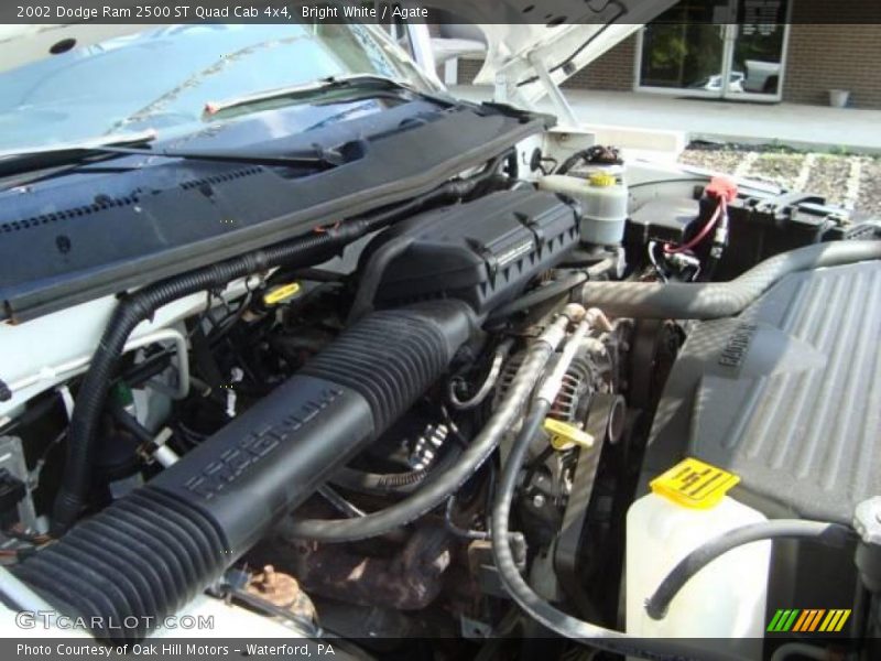 Bright White / Agate 2002 Dodge Ram 2500 ST Quad Cab 4x4