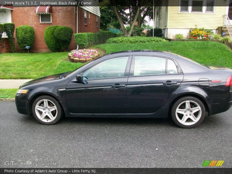 Nighthawk Black Pearl / Camel 2004 Acura TL 3.2