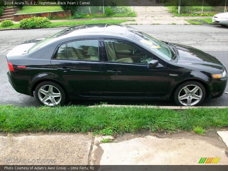 Nighthawk Black Pearl / Camel 2004 Acura TL 3.2