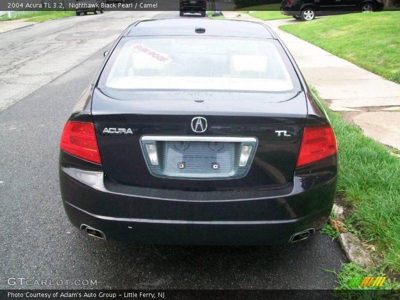 Nighthawk Black Pearl / Camel 2004 Acura TL 3.2