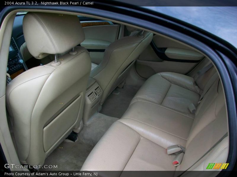 Nighthawk Black Pearl / Camel 2004 Acura TL 3.2