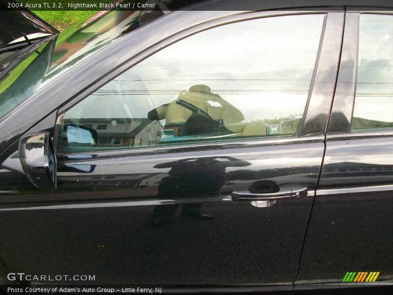 Nighthawk Black Pearl / Camel 2004 Acura TL 3.2