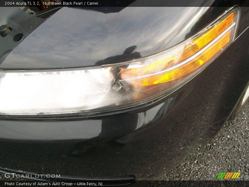 Nighthawk Black Pearl / Camel 2004 Acura TL 3.2