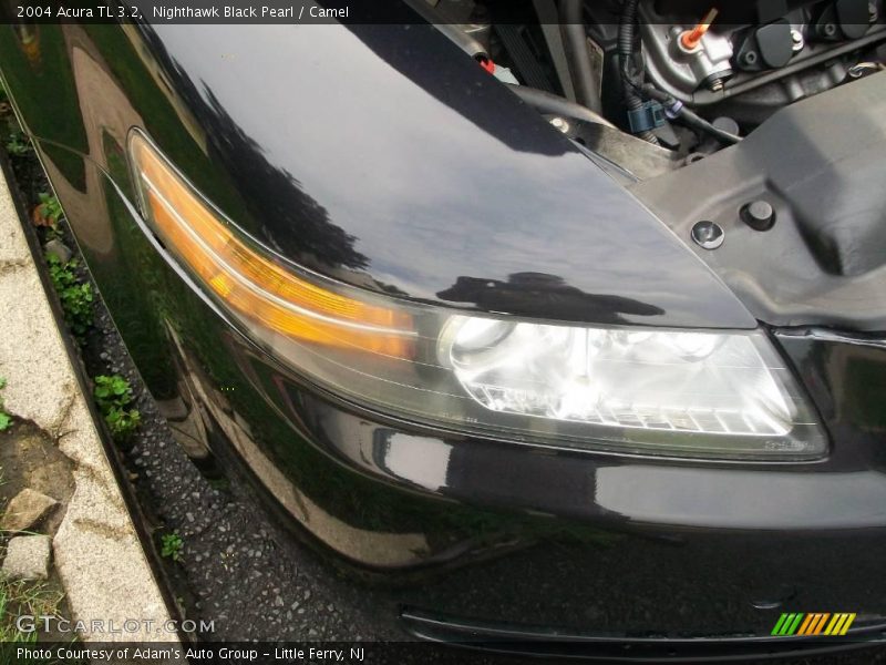 Nighthawk Black Pearl / Camel 2004 Acura TL 3.2
