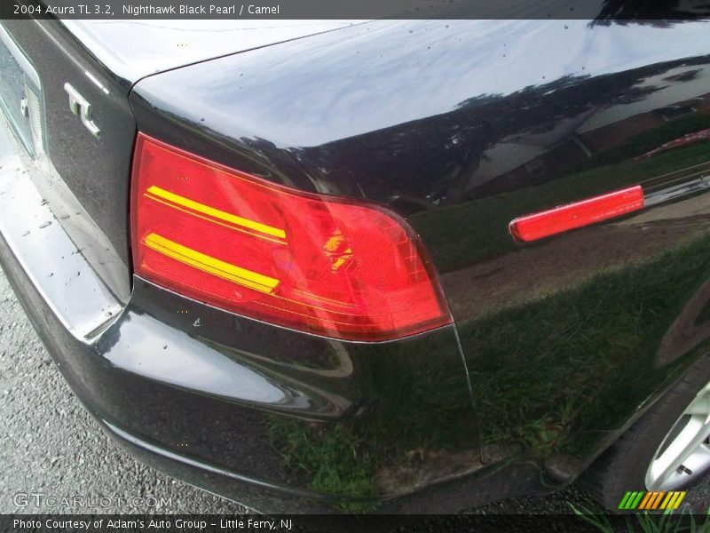 Nighthawk Black Pearl / Camel 2004 Acura TL 3.2