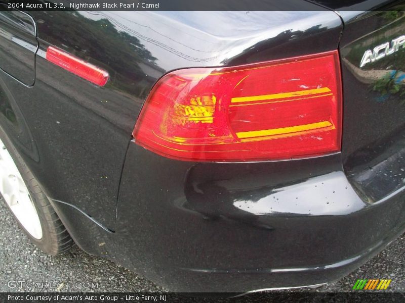 Nighthawk Black Pearl / Camel 2004 Acura TL 3.2