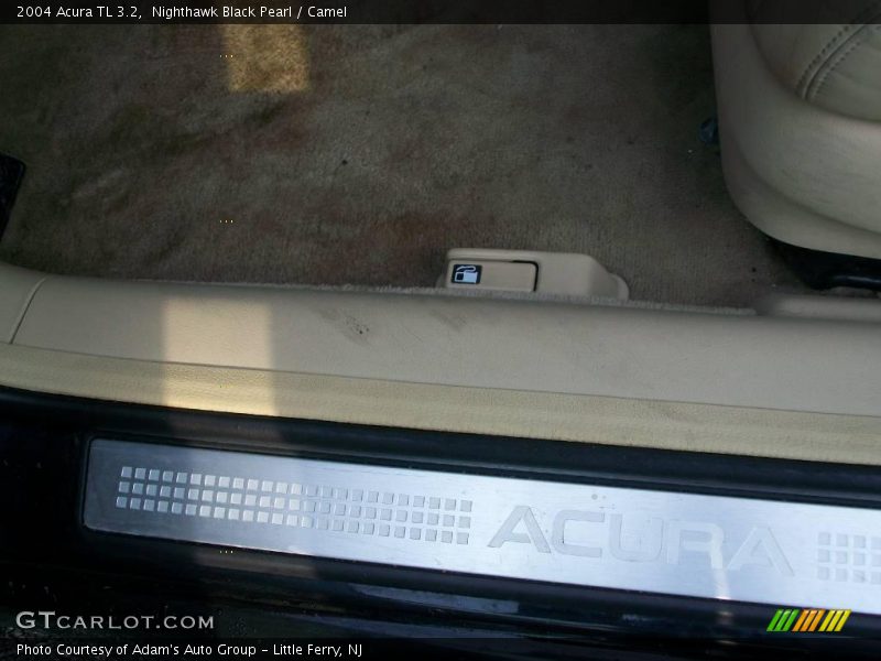Nighthawk Black Pearl / Camel 2004 Acura TL 3.2