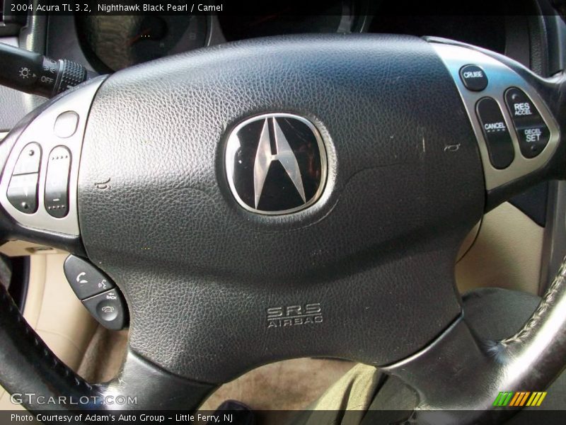 Nighthawk Black Pearl / Camel 2004 Acura TL 3.2