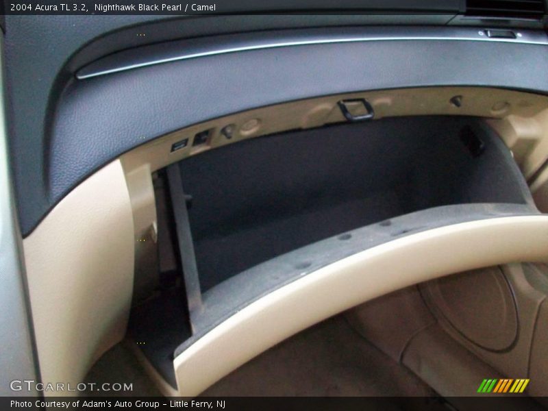 Nighthawk Black Pearl / Camel 2004 Acura TL 3.2