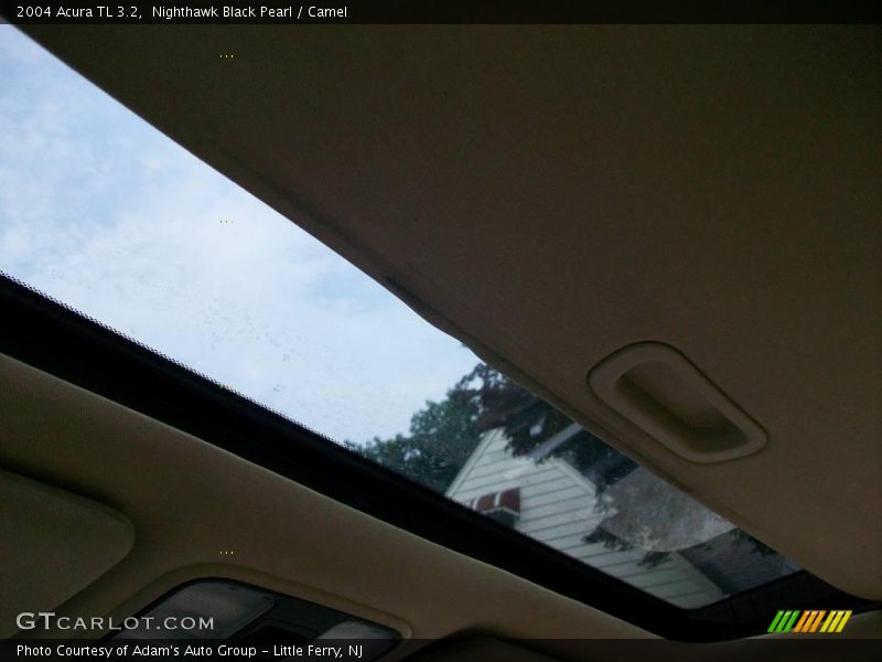 Nighthawk Black Pearl / Camel 2004 Acura TL 3.2