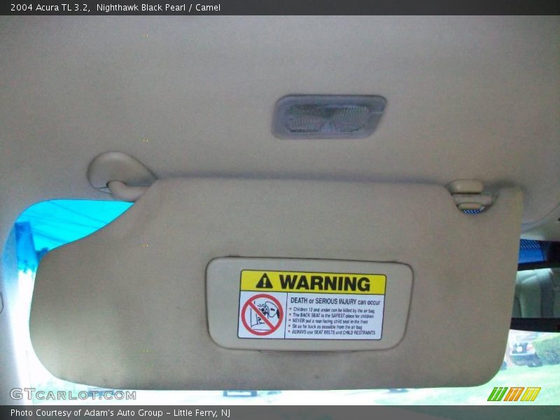 Nighthawk Black Pearl / Camel 2004 Acura TL 3.2