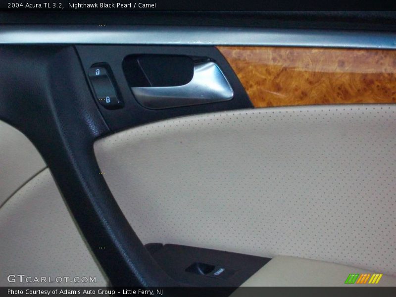 Nighthawk Black Pearl / Camel 2004 Acura TL 3.2