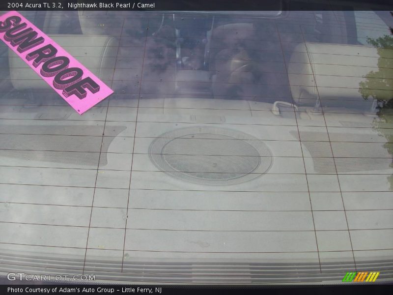 Nighthawk Black Pearl / Camel 2004 Acura TL 3.2