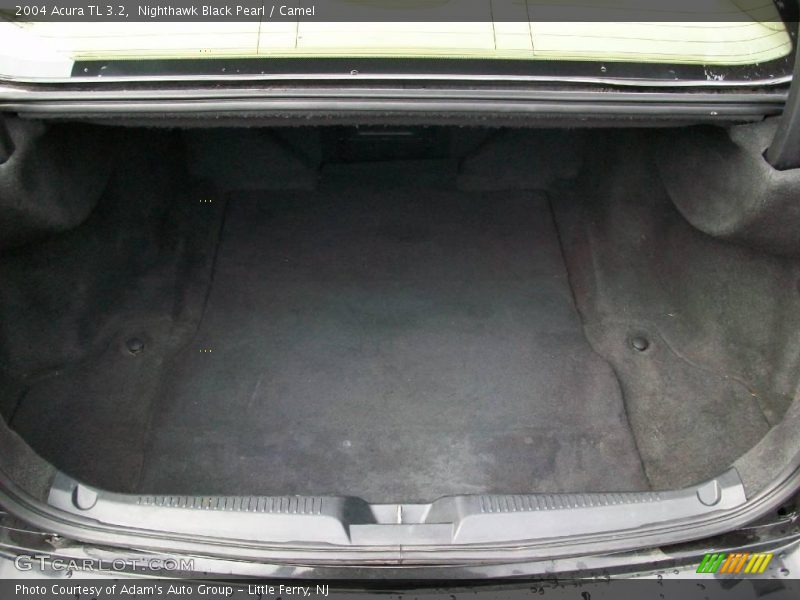 Nighthawk Black Pearl / Camel 2004 Acura TL 3.2