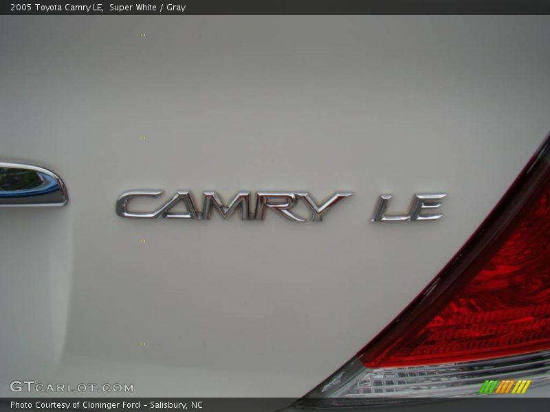 Super White / Gray 2005 Toyota Camry LE