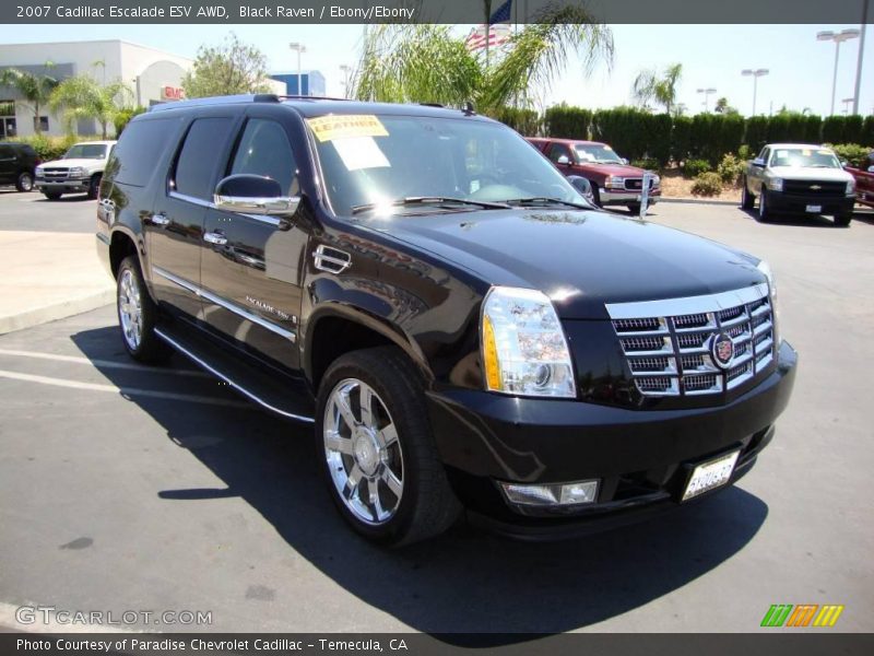 Black Raven / Ebony/Ebony 2007 Cadillac Escalade ESV AWD