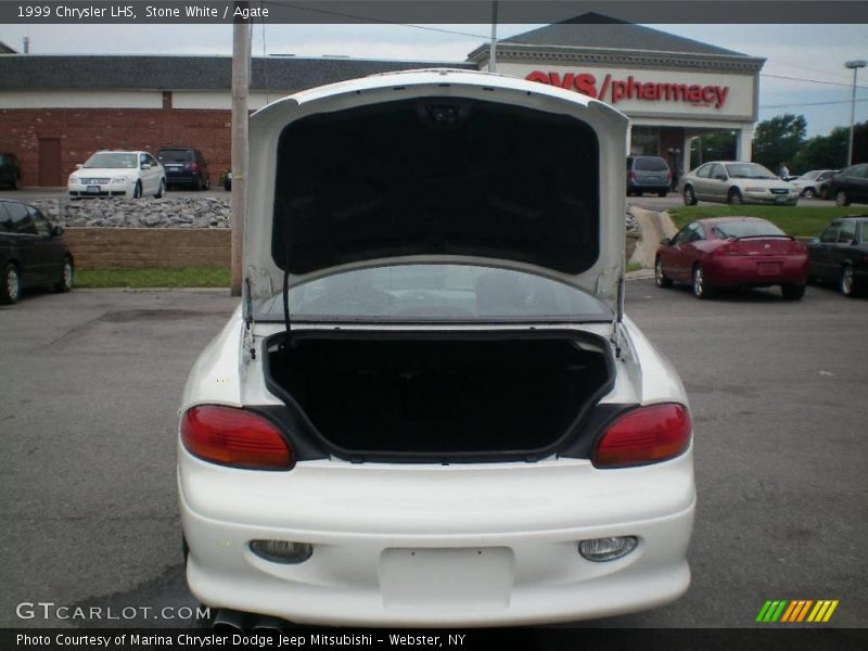 Stone White / Agate 1999 Chrysler LHS