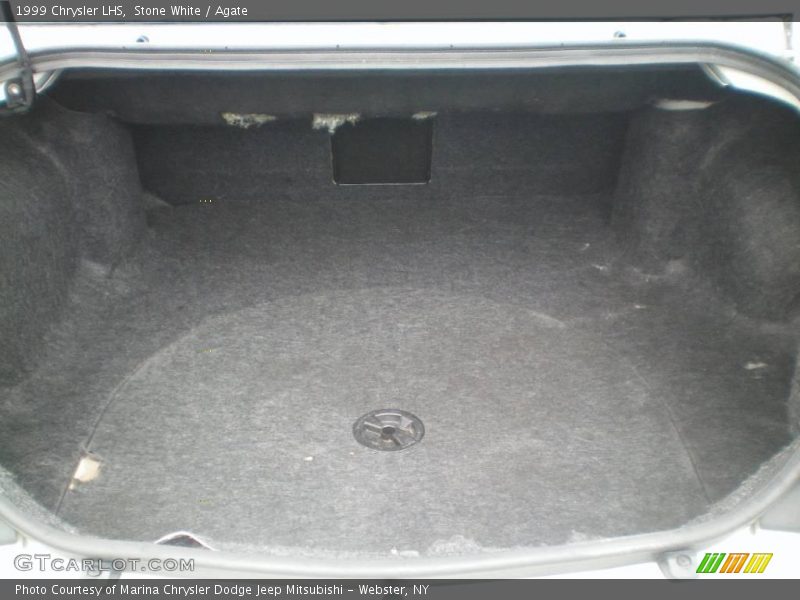 Stone White / Agate 1999 Chrysler LHS
