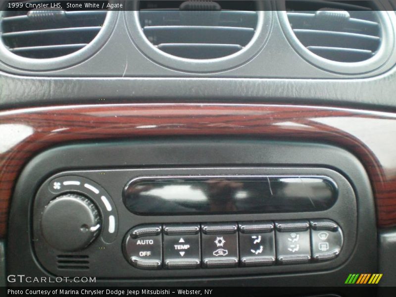 Stone White / Agate 1999 Chrysler LHS