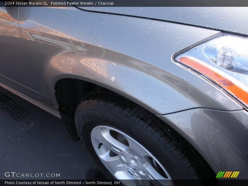 Polished Pewter Metallic / Charcoal 2004 Nissan Murano SL